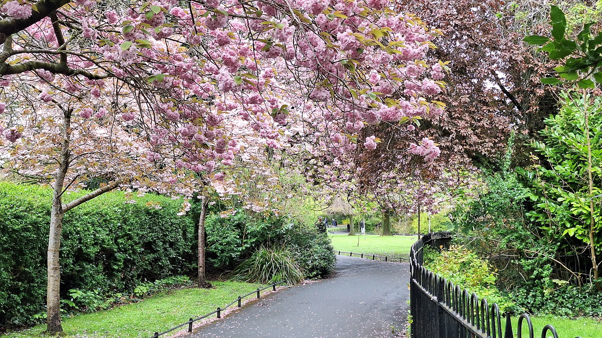 bilde fra parken St. Stephen's Green i Dublin